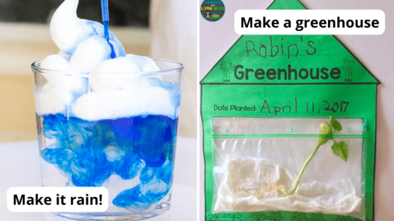 35 Fabulous First Grade Science Experiments and Projects To Try