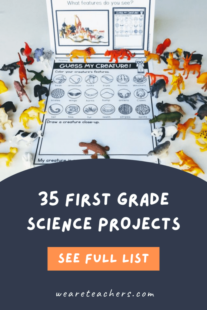 35 Fabulous First Grade Science Projects That Little Learners Will Love