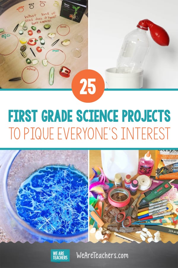 25 First Grade Science Projects to Pique Every Student's Interest