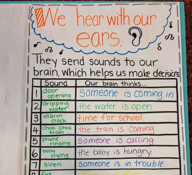Anchor chart showing how ears help us make decisions based on the sounds we hear