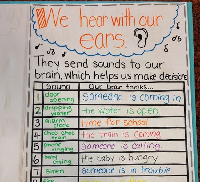 Five Senses Activities To Engage Young Students Weareteachers