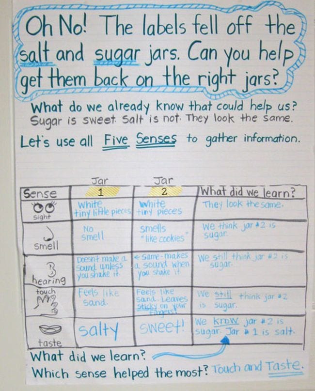 Anchor chart for an activity helping kids tell the difference between salt and sugar