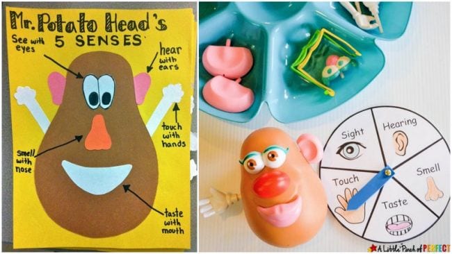 Mr. Potato Head chart and spinner to use with five senses activities for kids