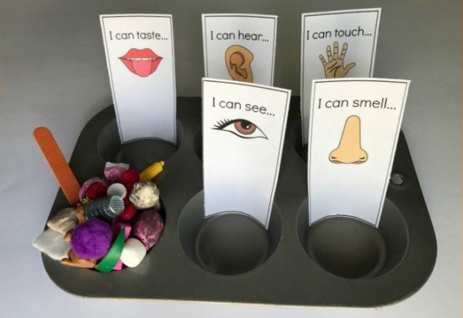 Muffin tin with labels reading I can taste, hear, touch, see, and smell, with small items in one of the cups