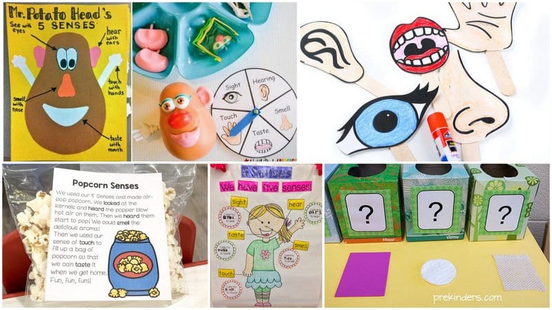 Five Senses Activities To Engage Young Students Weareteachers