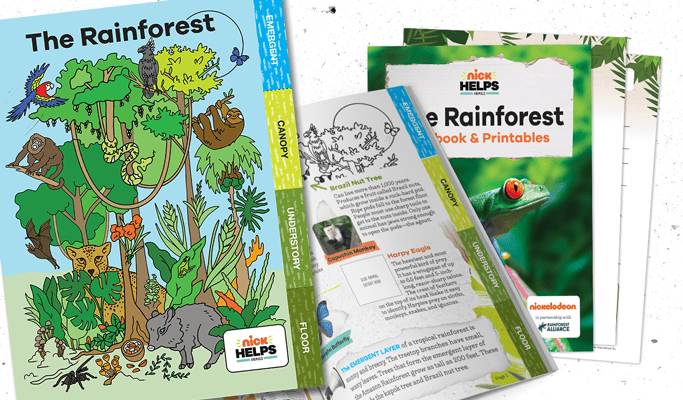 rainforest writing paper