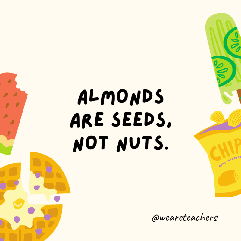 Almonds are seeds, not nuts.