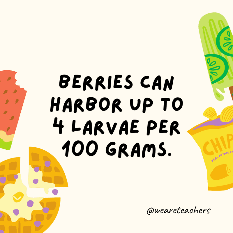 Berries can harbor up to 4 larvae per 100 grams.