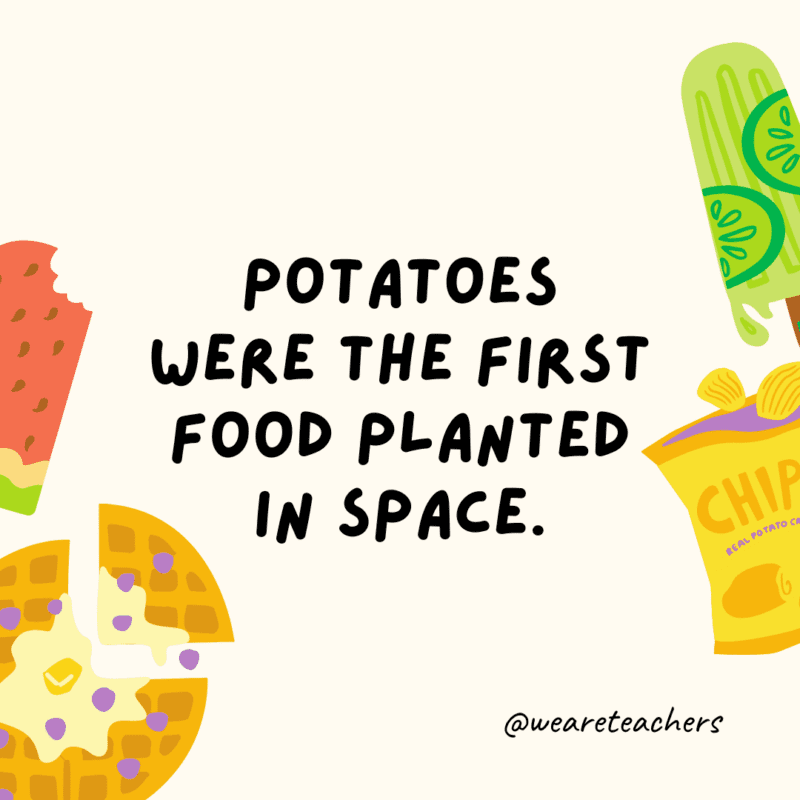 Potatoes were the first food planted in space.