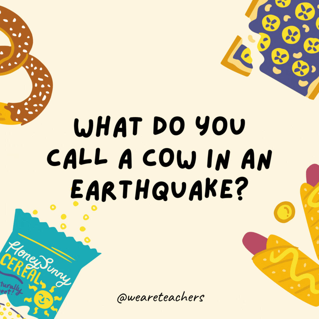 5. What do you call a cow during an earthquake?