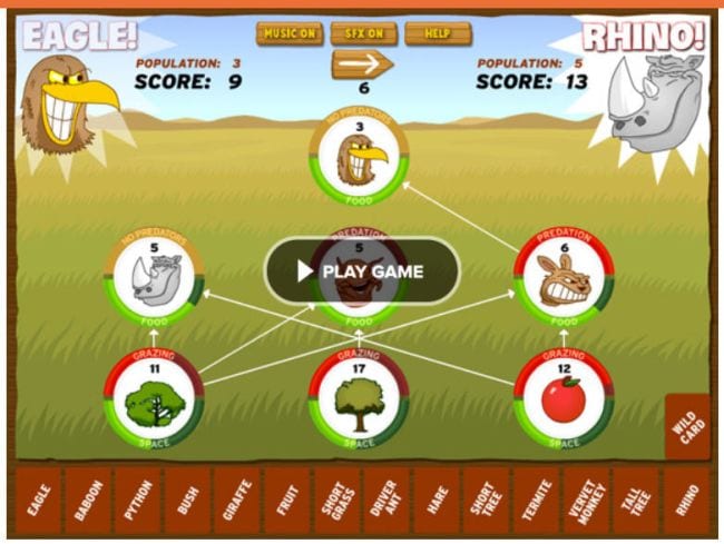 Teacher Made Science Center Educational Learning Resource Game Food Chains