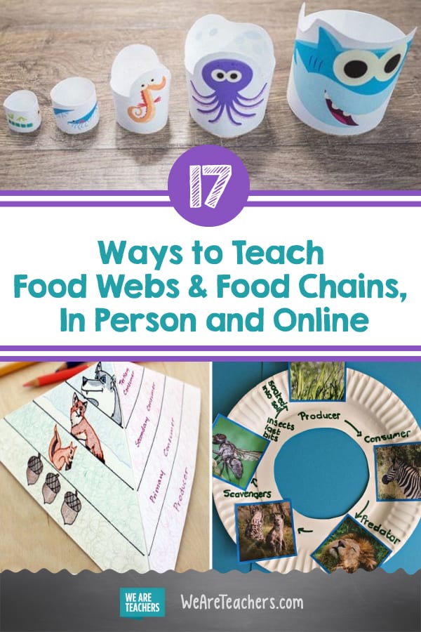 17 Cool Ways To Teach Food Webs And Food Chains, In Person And Online