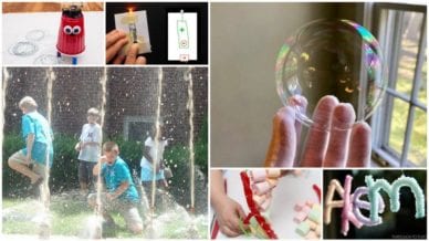 Collage of Fourth Grade Science Experiments, Activities, and Projects
