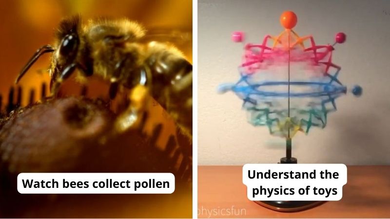35 Best Online Resources for Fantastic Free Science Videos