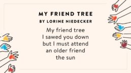Friendship Poems Feature 1 258x145 