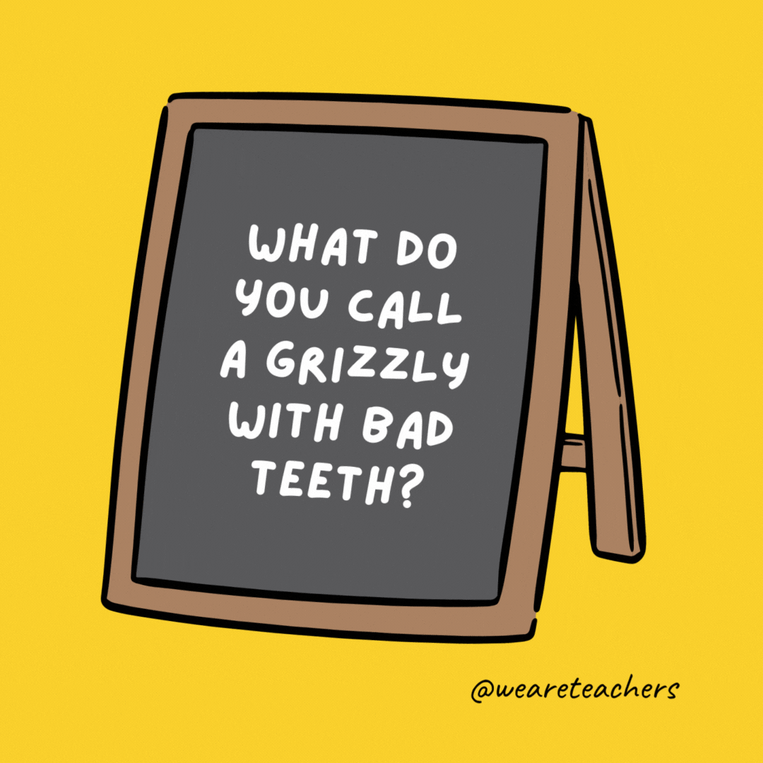 What do you call a grizzly with bad teeth? A gummy bear.