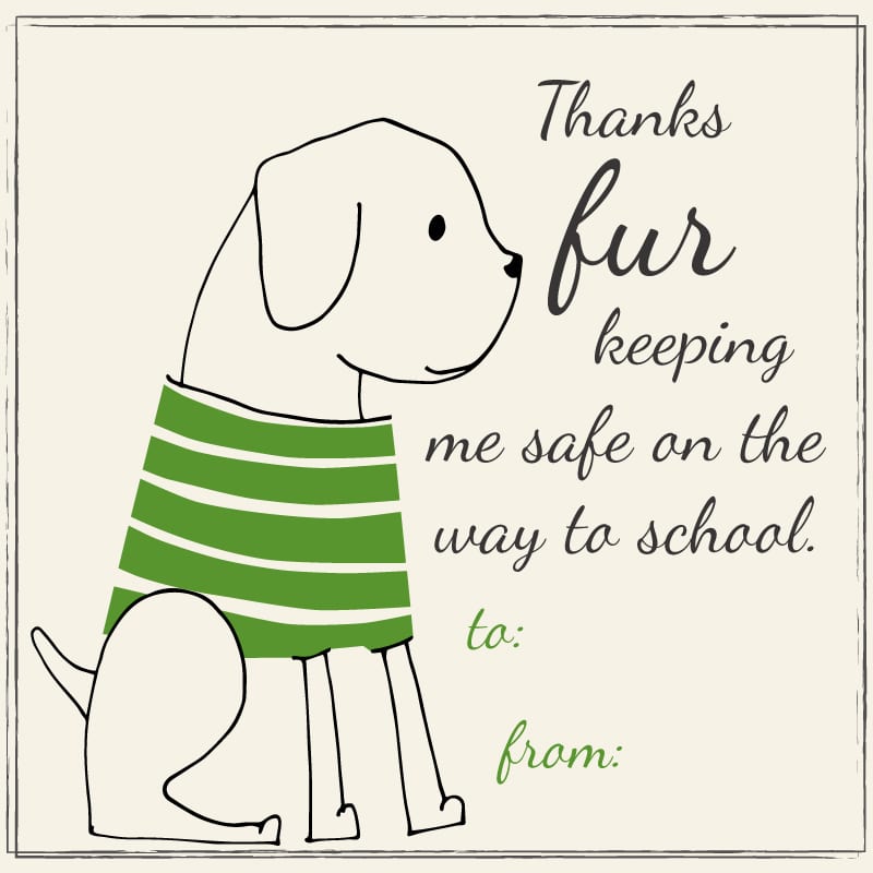 School Thank You Cards For Custodians Librarians And Other Staff We