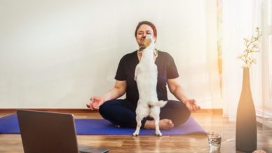 An adult woman with a Jack Russell dog practicing online yoga lessons at home and the dog is licking her face.