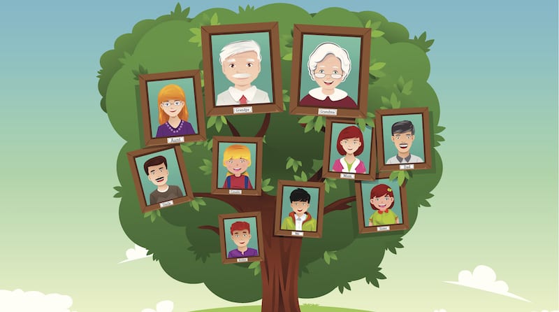 why it s time to rethink family tree assignments and be more inclusive