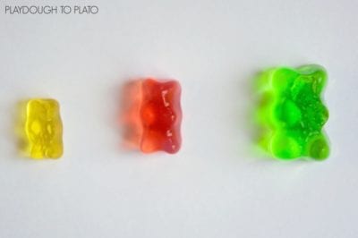 Growing Bears - 20 Best Kindergarten Science Activities