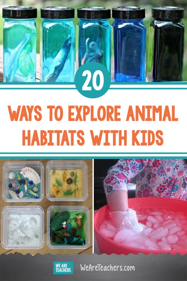 20 Wild Ways to Explore Animal Habitats With Kids