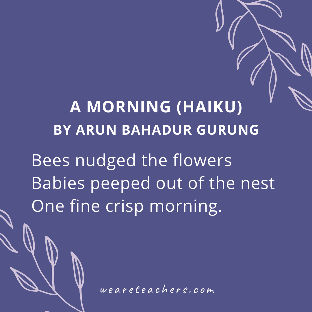 haiku-poems-for-kids-of-all-ages-and-reading-levels