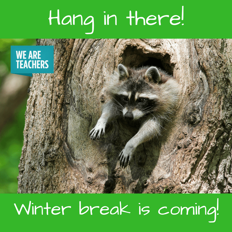 Winter break is coming hang in there- winter break meme