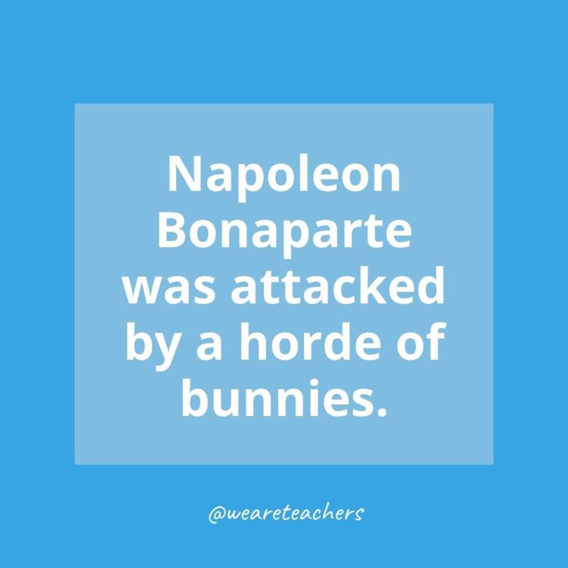 Napoleon Bonaparte was attacked by a horde of bunnies. 