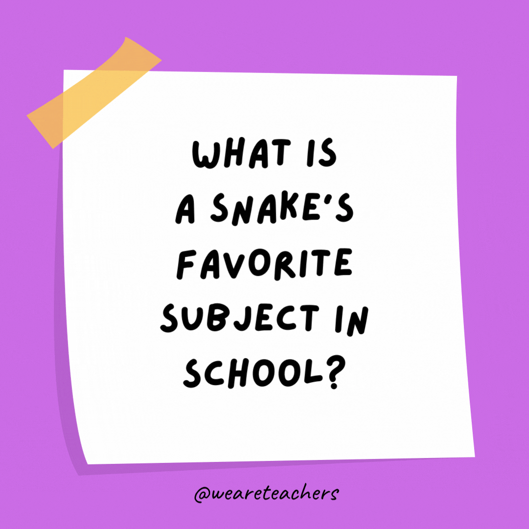 What is a snake's favorite subject in school?