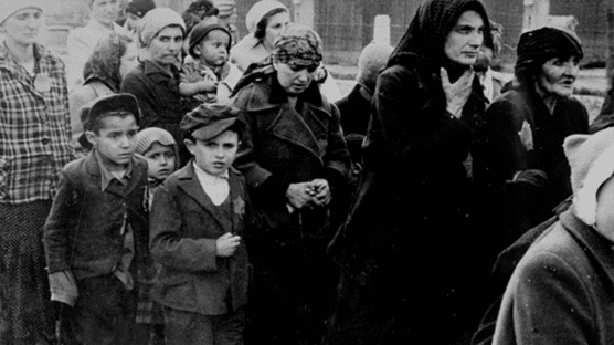 Free DVD Or Watch Online The Path To Nazi Genocide We Are Teachers