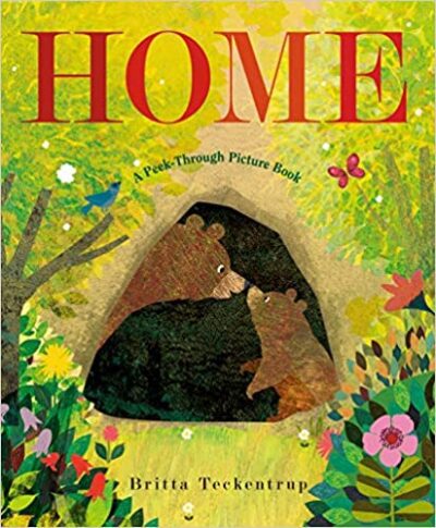 Book cover for Home as an example of picture books about nature