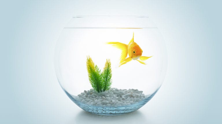 How I Use Fishbowl Discussions To Engage Every Student