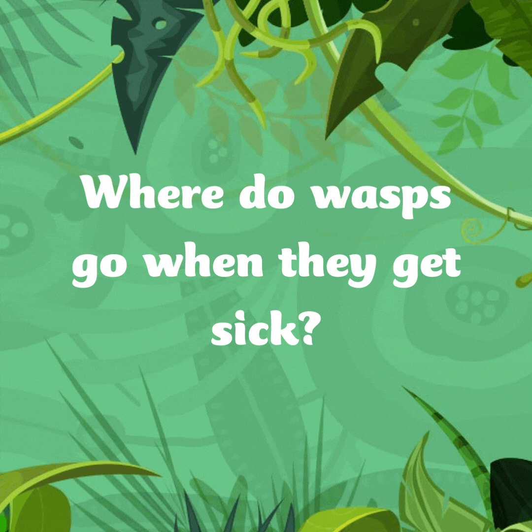 Where do wasps go when they get sick? The wasp-ital! Bug puns.
