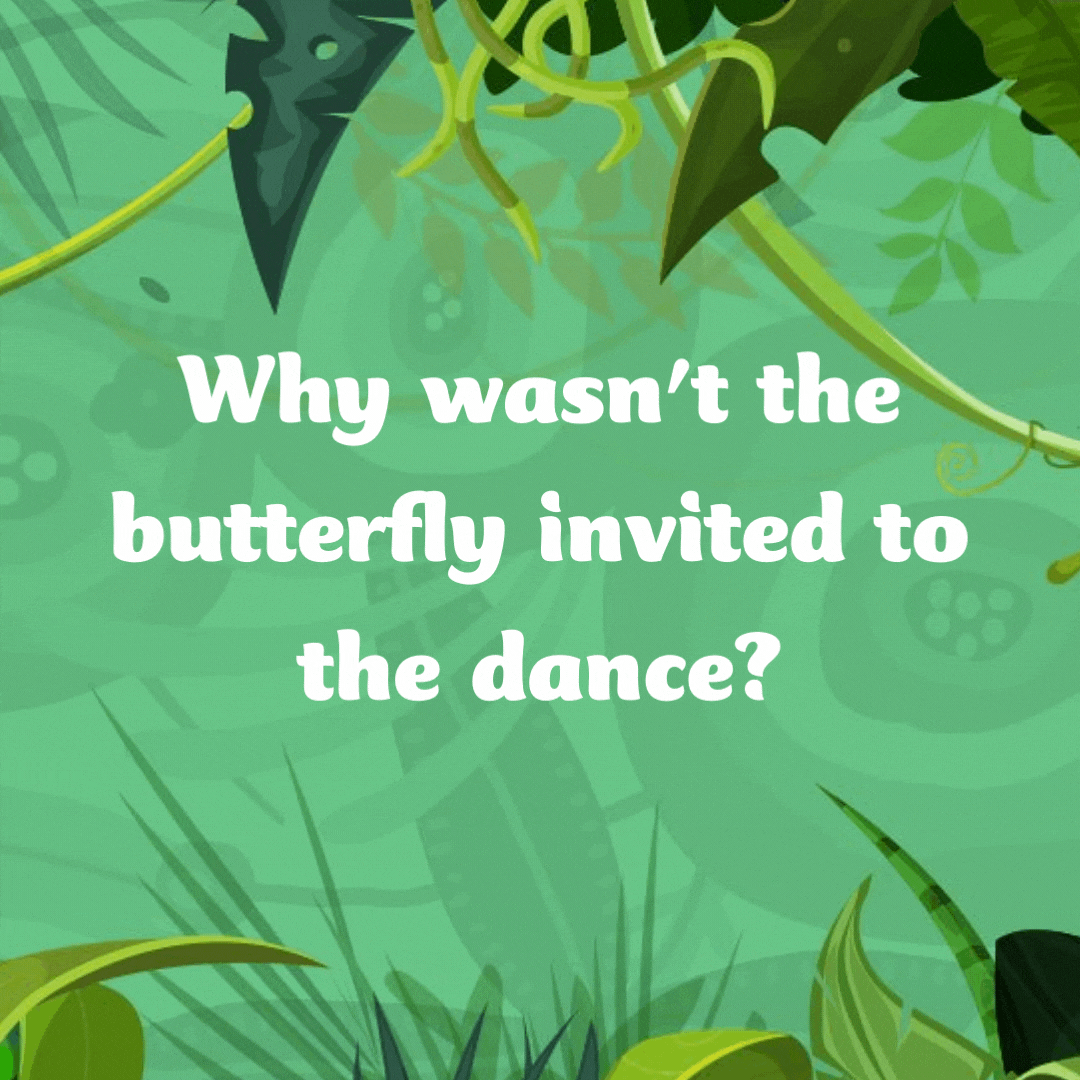 Why wasn't the butterfly invited to the dance? It was a moth ball!