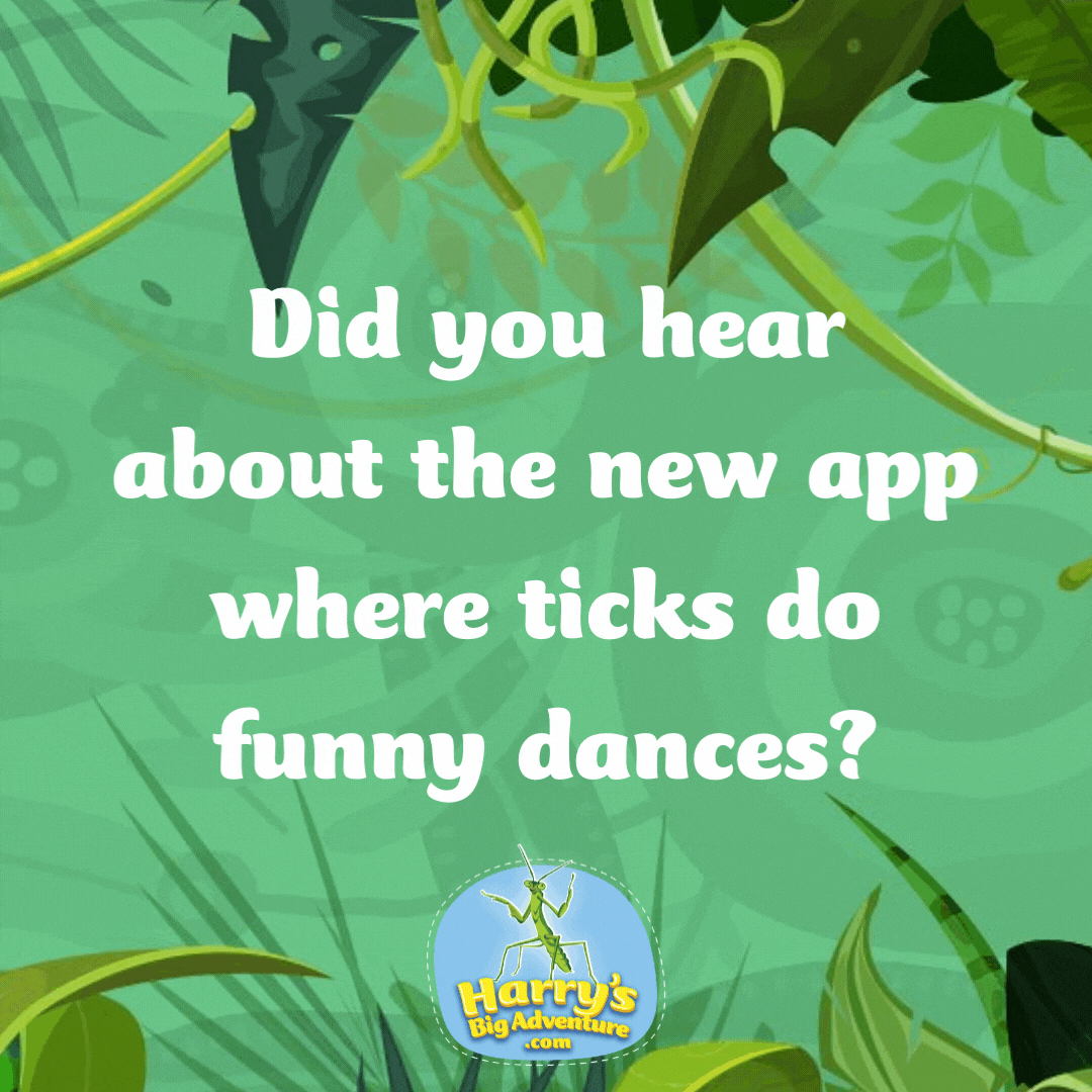 Did you hear about the new app where ticks do funny dances?