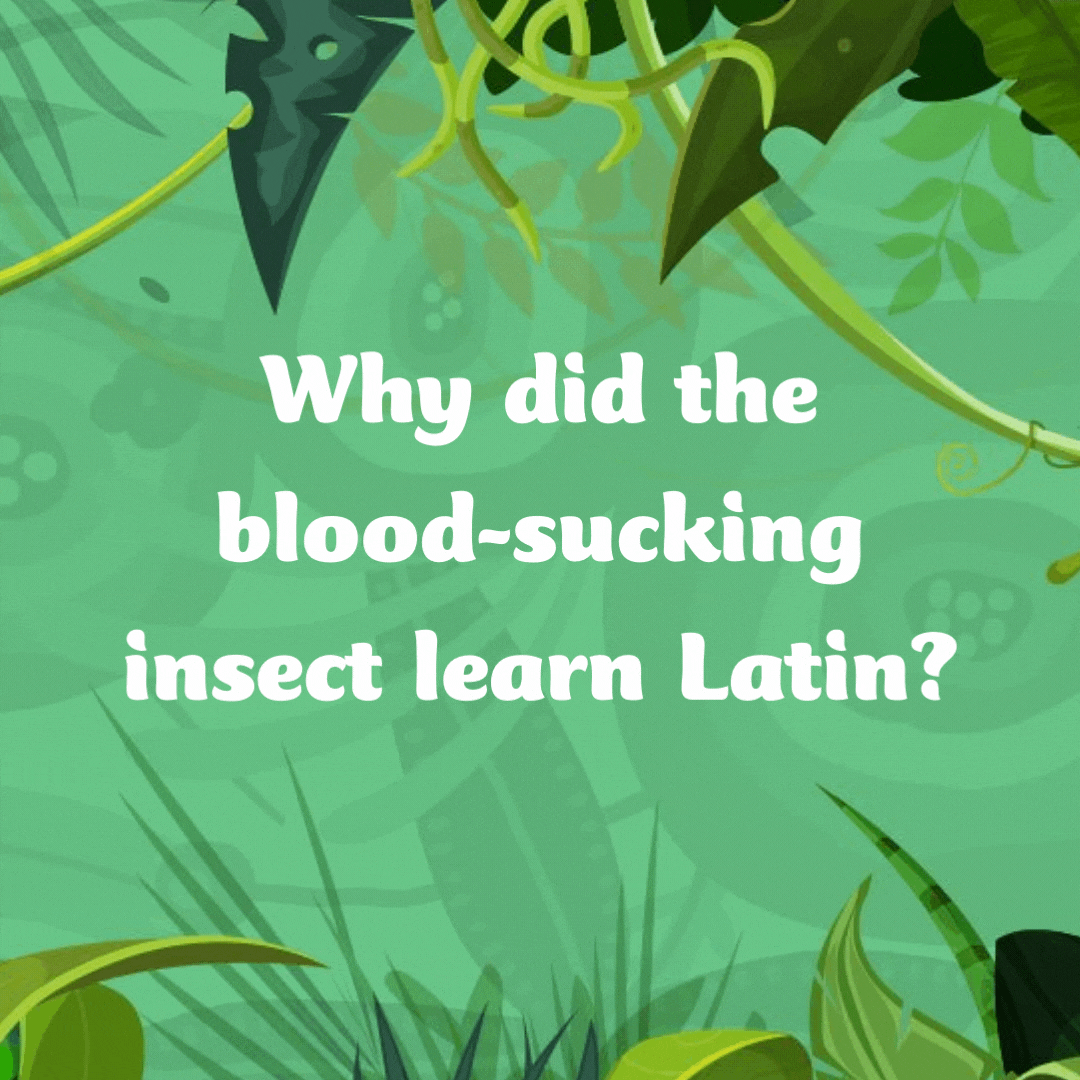 Why did the blood-sucking insect learn Latin?