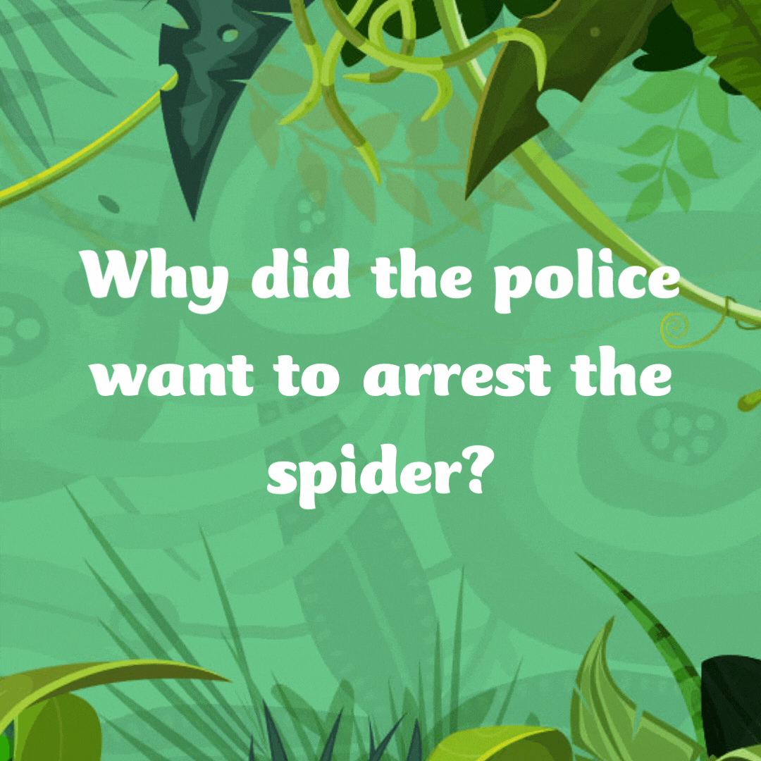 Why did the police want to arrest the spider?