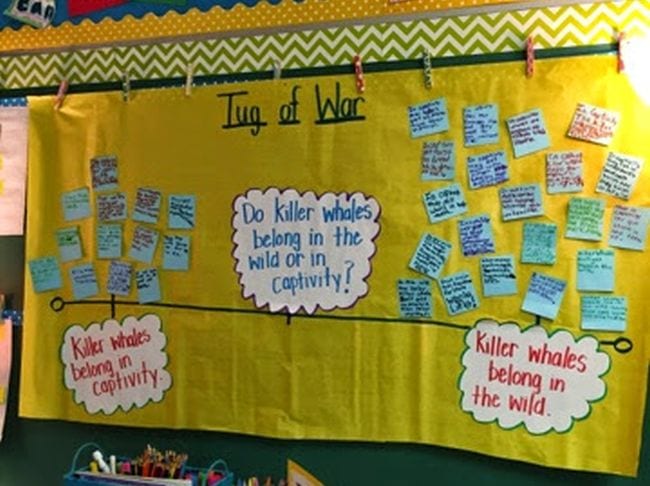 Tug of War bulletin board with opinion question in the middle and sticky note opinions on either side