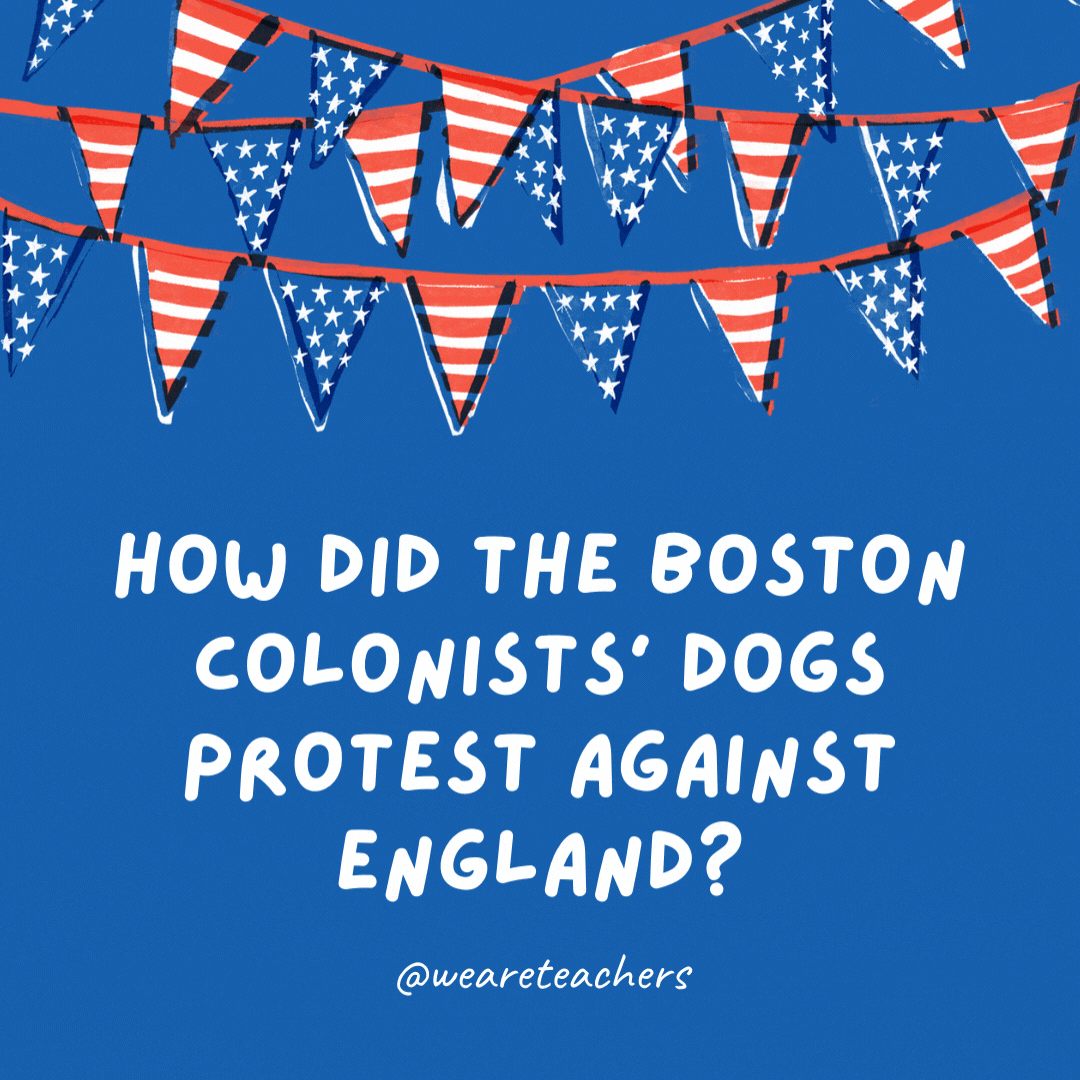 How did the Boston colonists' dogs protest against England?