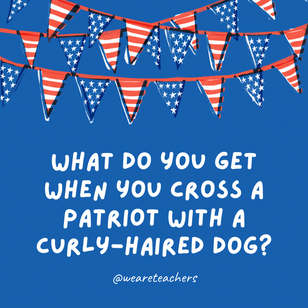 What do you get when you cross a patriot with a curly-haired dog?