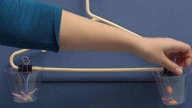 Student placing jellybeans in a cup clipped to one side of a hanger, with a cup on the other side holding a plastic dinosaur