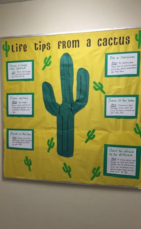 30-cactus-classroom-theme-ideas-weareteachers-images