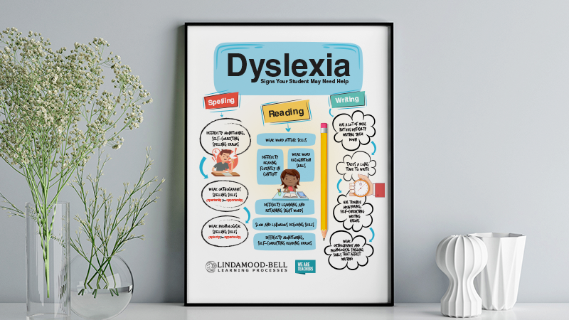 How Science Is Rewiring Dyslexic Brain >> How Teachers Can Rewire A Struggling Reader S Brain How Science Is Rewiring Dyslexic Brain >> How Teachers Can Rewire A Struggling Reader S Brain