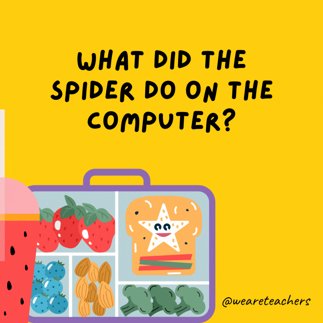What did the spider do on the computer?