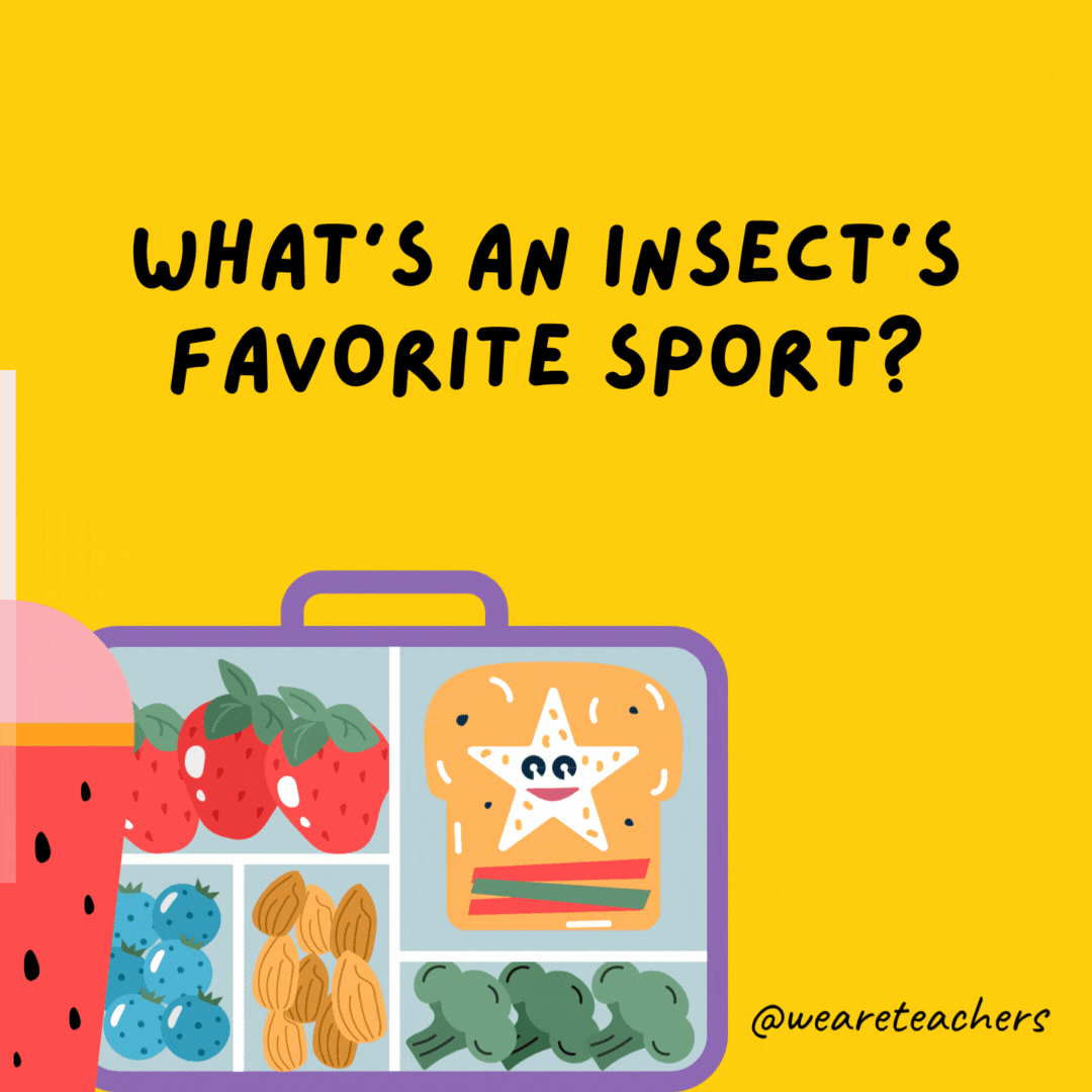 What's an insect's favorite sport?