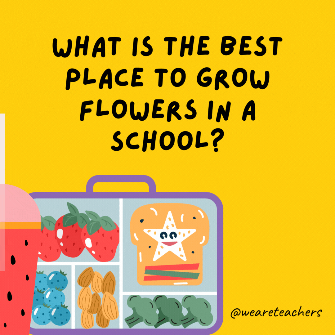  What is the best place to grow flowers in a school?
