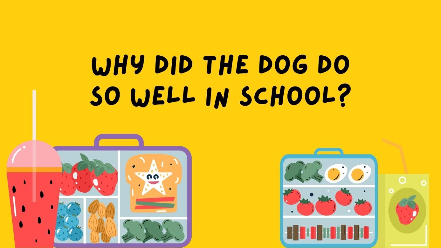 50 Lunch Box Jokes for Kids That Will Make Them LOL