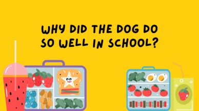 为什么狗在学校做得很好？