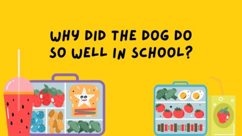 50 Lunch Box Jokes for Kids That Will Make Them LOL