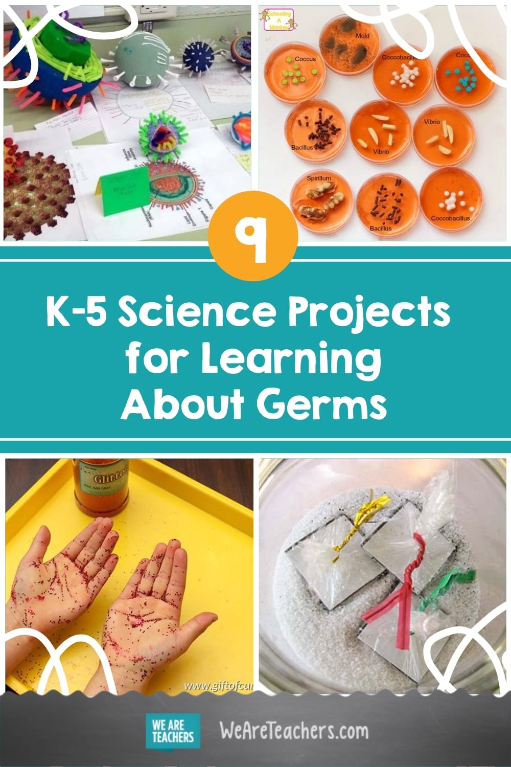 the-best-germ-science-projects-and-experiments